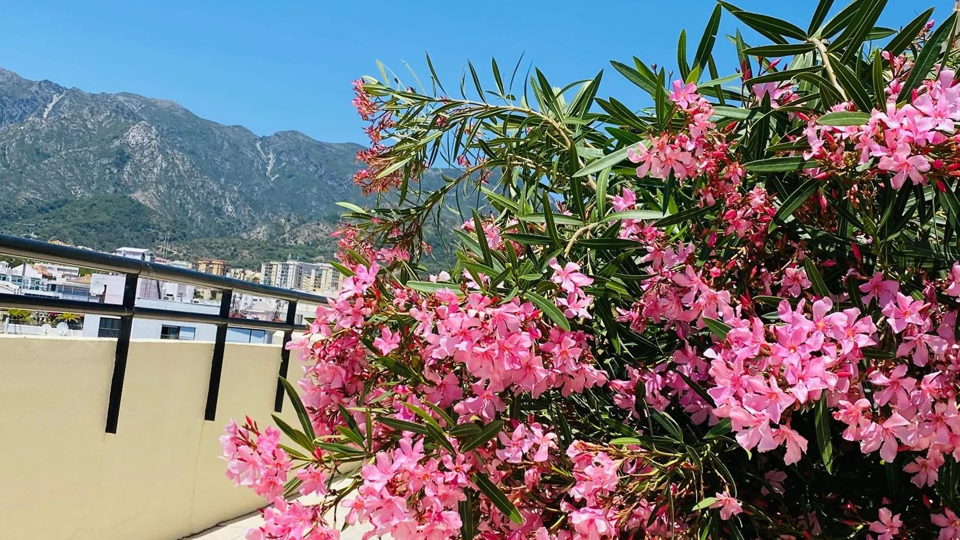 The First Line Of The Sea Apartment Marbella 0*,  Spain
