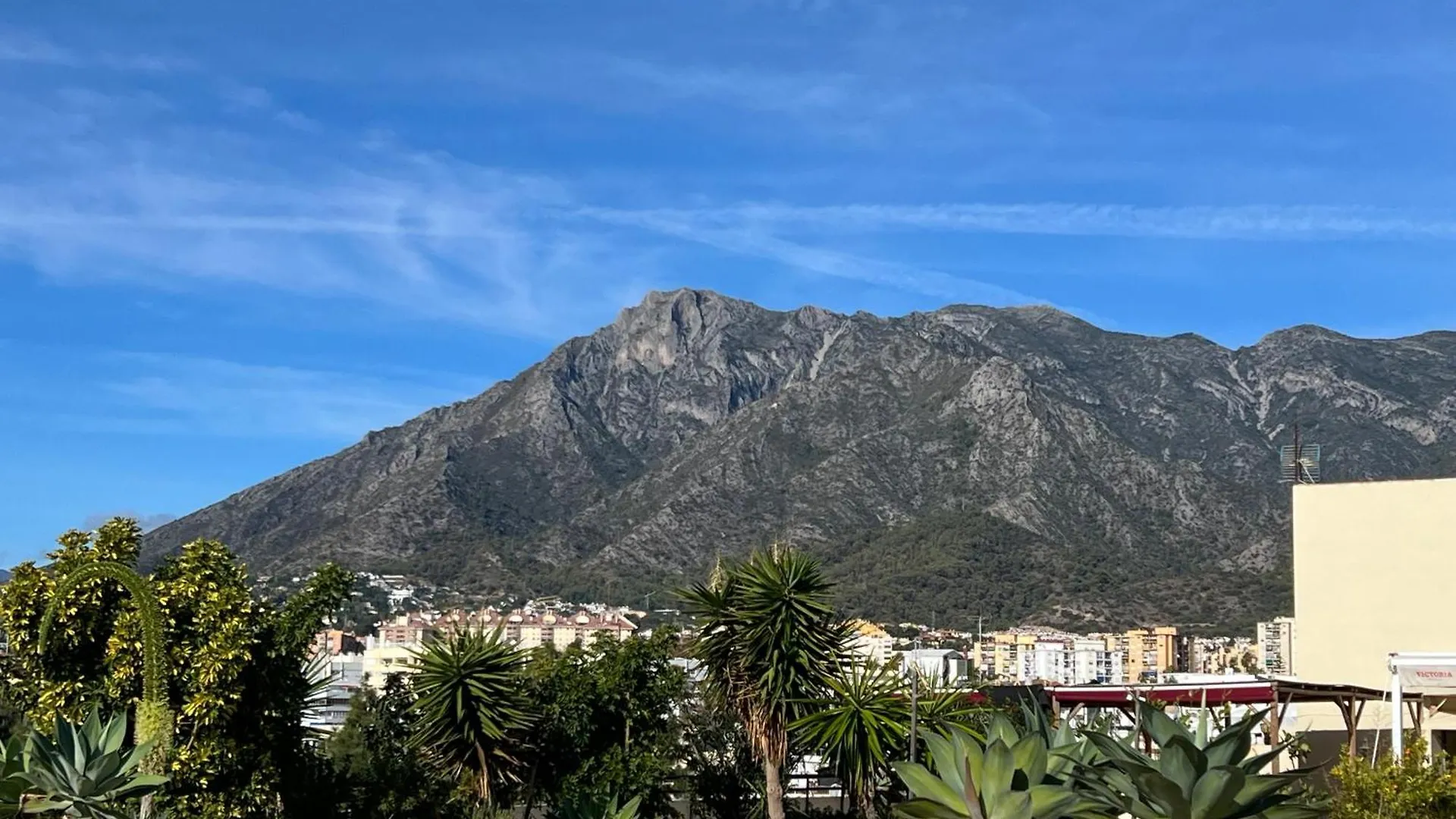 The First Line Of The Sea Apartment Marbella